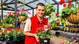 Horticulture and landscape design student holds a plant surrounded by colourful flowers